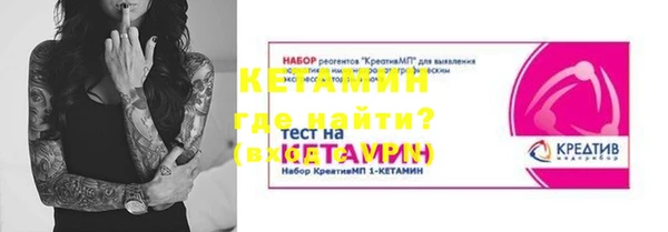 a pvp Новозыбков
