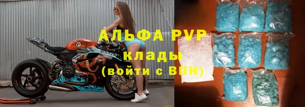 a pvp Новозыбков