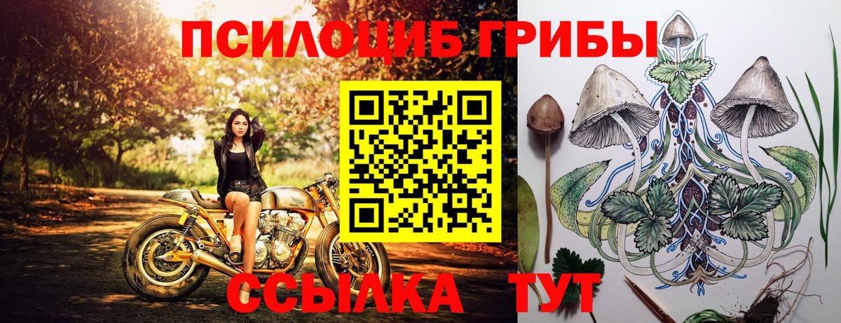 Чусовой  Галлюциногенные грибы GOLDEN TEACHER  Вход с VPN  Галлюциногенные грибы Cubensis 