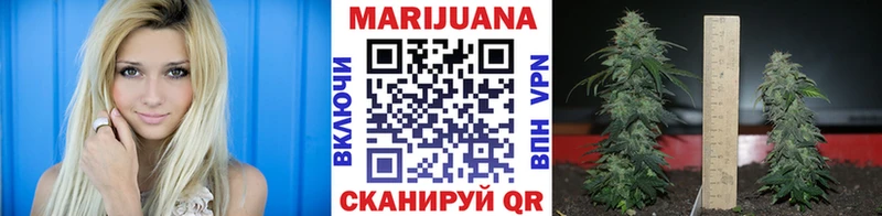 Шишки марихуана сатива Чусовой
